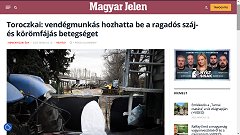 Vendégmunkás hozhatta be a ragadós száj- és körömfájás betegséget - 2025.03.12
